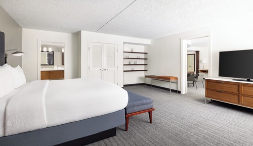Suite, 1 King Bed with Sofa bed
