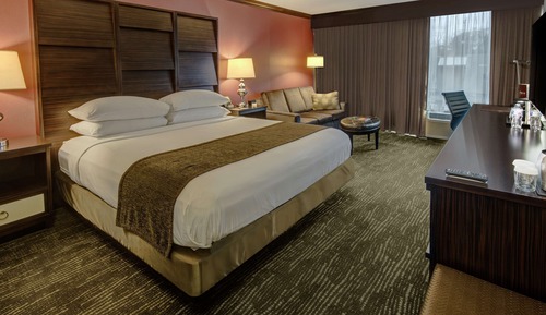 Room, 1 King Bed with Sofa bed