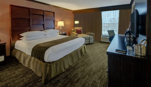 Basic Single Room, 1 King Bed