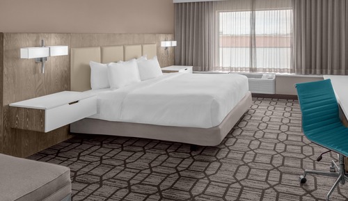 Room, 1 King Bed (Roll-In Shower)