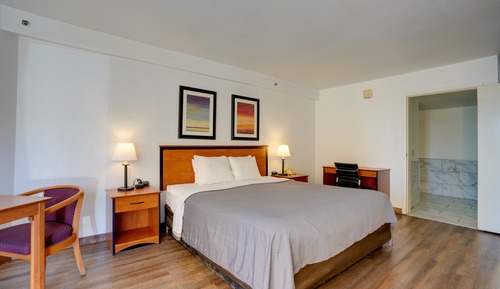 Standard Room, 1 King Bed, Accessible, Non Smoking