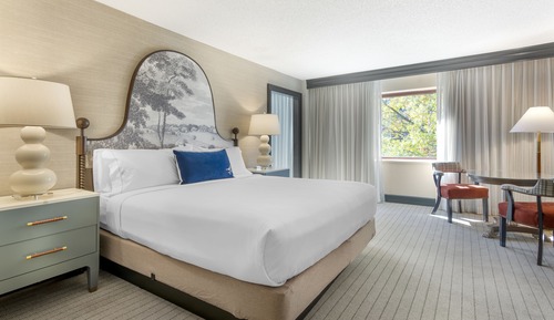 Suite, 1 King Bed
