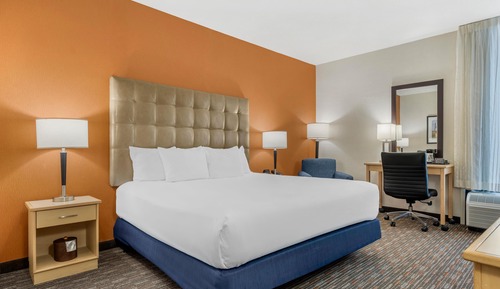 Room, 1 King Bed, Accessible (Roll in Shower)