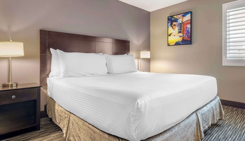 Standard Room, 1 King Bed, Non Smoking, Refrigerator & Microwave (Larger Room;with Sofabed)