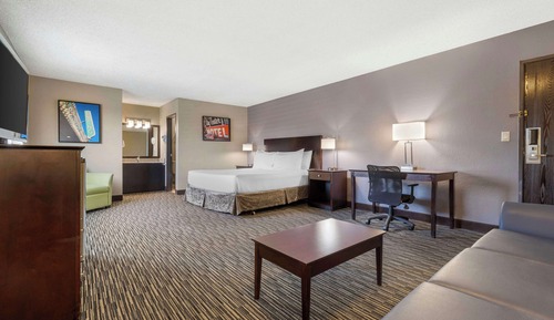 Executive Room, 1 King Bed, Non Smoking, Refrigerator & Microwave (with Sofabed)