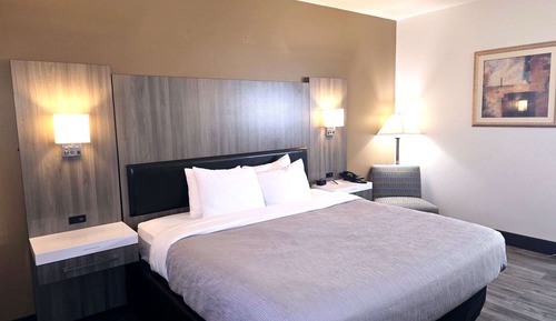 Room, 1 King Bed, Accessible, Non Smoking (Roll-In Shower)