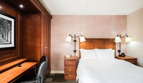 Room, 1 Queen Bed, Accessible (Roll-In Shower)