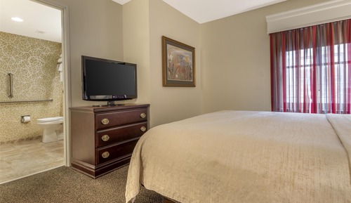 Suite, 1 King Bed, Accessible, Non Smoking (with Sofabed)
