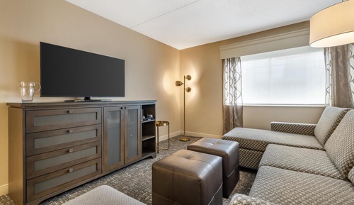 Suite, 1 King Bed, Non Smoking, Refrigerator & Microwave (with Sofabed)