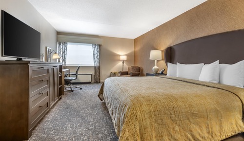 Standard Room, 1 King Bed, Non Smoking (with Sofabed)