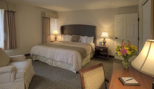 Standard Room, 1 King Bed, Accessible, Bathtub
