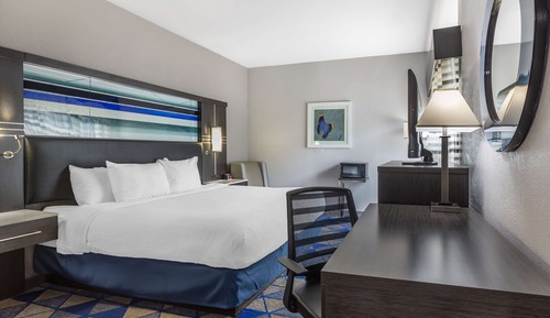 Standard Room, 1 King Bed, Accessible, Refrigerator & Microwave