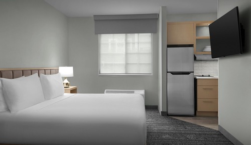 Studio, 1 King Bed with Sofa bed