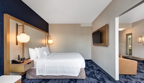 Suite, 1 King Bed with Sofa bed