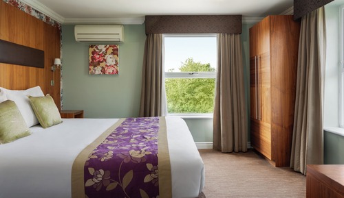 Room, 1 King Bed, Non Smoking