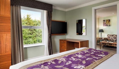 Suite, 1 King Bed with Sofa bed, Non Smoking