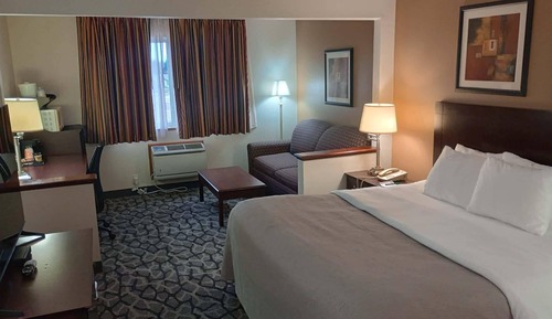 Business, 1 King Bed with Sofa bed, Non Smoking