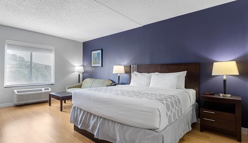 Standard Room, 1 King Bed, Non Smoking (Pet Friendly;with Sofabed)