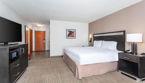 Room, 1 King Bed, Accessible, Non Smoking