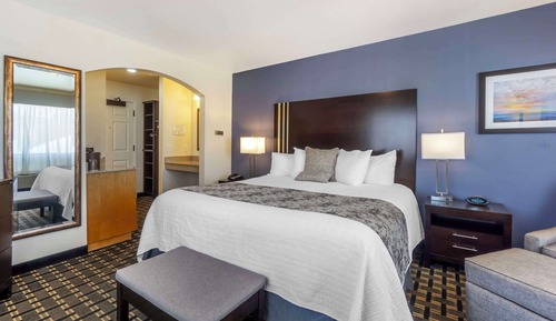 Standard Room, 1 King Bed, Non Smoking, Refrigerator & Microwave