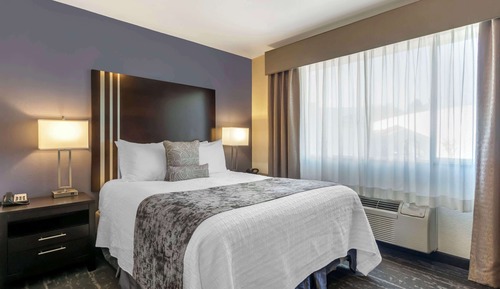 Junior Suite, 1 Queen Bed, Non Smoking, Refrigerator & Microwave (with Sofabed)