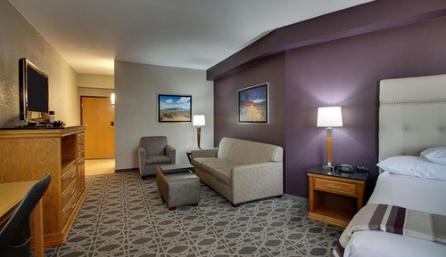 Room, 1 King Bed with Sofa bed (Sofa Sleeper)