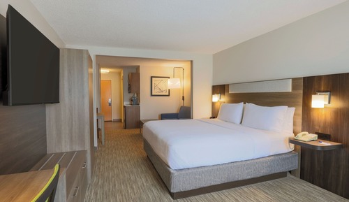 Suite, 1 King Bed with Sofa bed