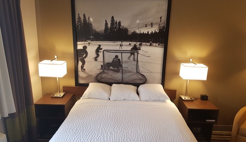 Business Room, 1 King Bed, Non Smoking