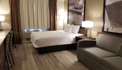 Room, 1 Queen Bed with Sofa bed, Non Smoking (Efficiency)