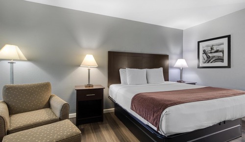 Standard Room, 1 King Bed, Non Smoking, Refrigerator & Microwave