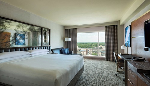 Room, 1 King Bed (Hearing Accessible)