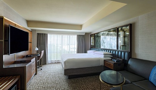Room, 1 King Bed