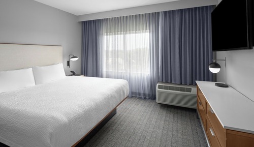 Suite, 1 King Bed with Sofa bed