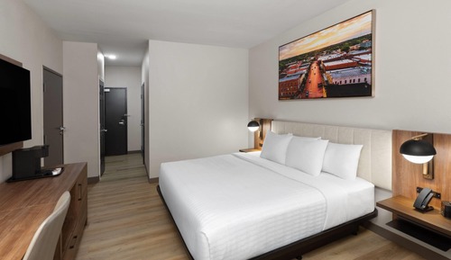 Room, 1 King Bed, Mobility Accessible, Non Smoking (Mobility, Roll-in Shower)