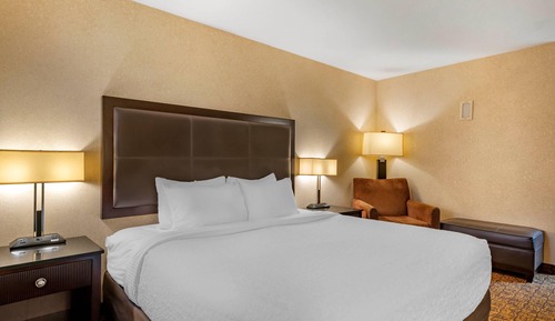 Room, 1 King Bed, Accessible, Non Smoking (Roll-in Shower)