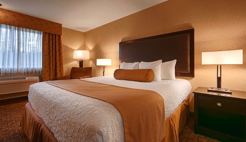 Standard Room, 1 King Bed, Non Smoking (Larger Room Wet Bar)