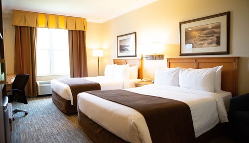 Traditional Room, 2 Queen Beds