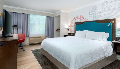 Standard Room, 1 King Bed, Accessible