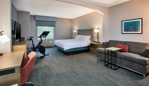 Room, 1 King Bed with Sofa Bed and Peloton Bike