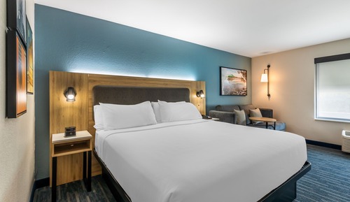 Standard Room, 1 King Bed with Sofa bed (Mobility/Hearing Access, Roll-in Shwr)