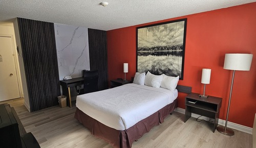 Room, 1 Queen Bed, Non Smoking