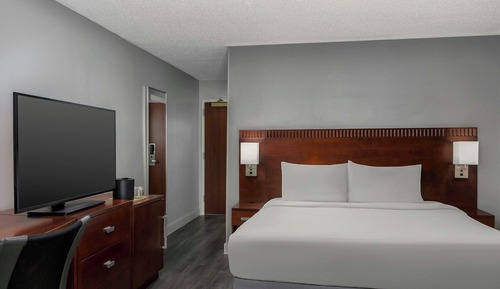 Room, 1 King Bed with Sofa bed (Mobility/Hearing Access, Roll-In Shwr)