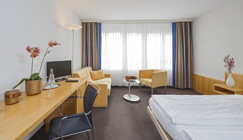 Classic Double Room, Mountain View