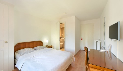 Single Room, 1 Double Bed