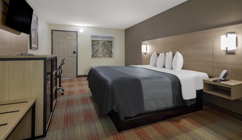 Standard Room, 1 King Bed, Non Smoking