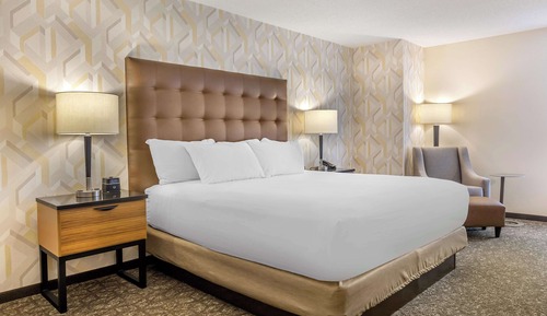 Room, 1 King Bed, Accessible (Roll in Shower)