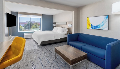 Suite, 1 King Bed with Sofa bed