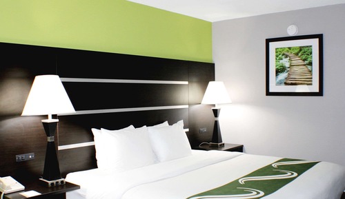 Studio Suite, 1 King Bed with Sofa bed