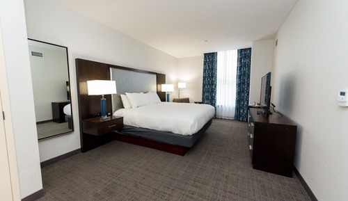 Suite, 1 King Bed with Sofa bed, Accessible (3x3 Shower)