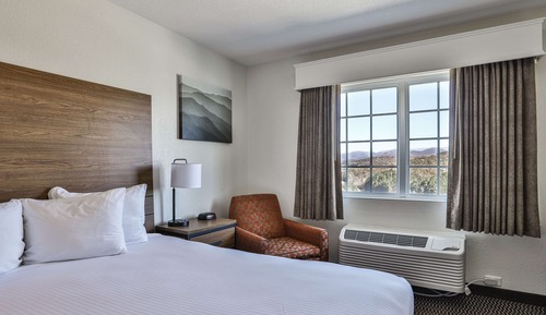 Standard Room, 1 King Bed, Non Smoking, Mountain View